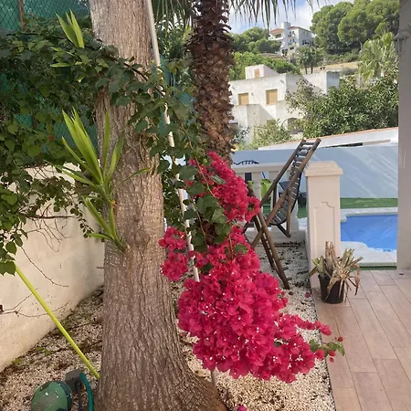 With View And Swimming Pool Villa